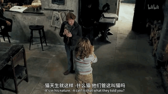 哈利为什么不能娶赫敏，赫敏最后恢复了父母的记忆吗（哈利波特为何没有跟赫敏在一起）