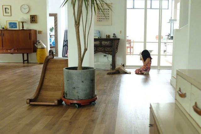 董卿是小三吗，董卿是第三者（“奉子成婚”坐拥豪宅）