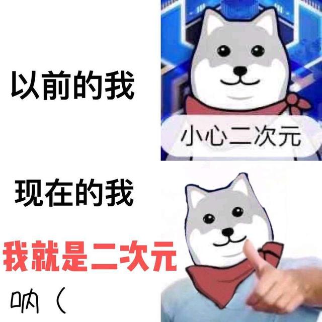 二次元acgn分别指什么，有的人听见这词觉得找到了同类
