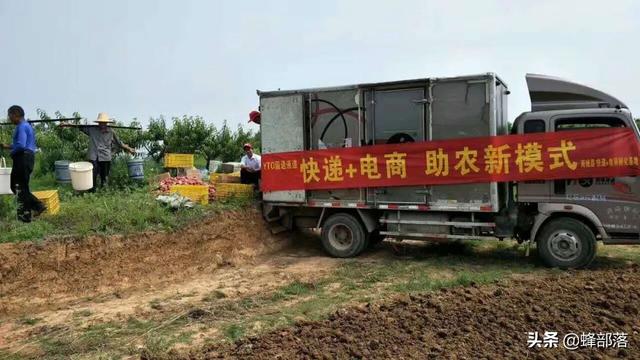 农村最适合做什么生意，农村适合做什么生意（农村悄然兴起的生意有哪些）