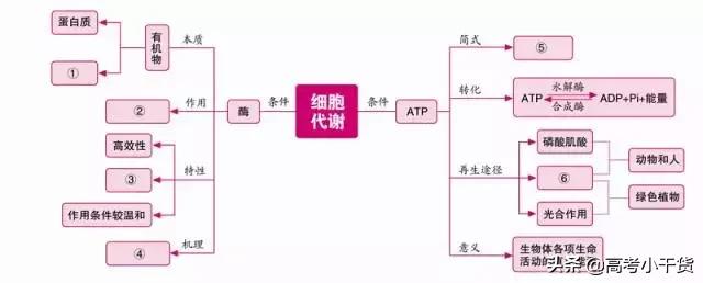 高中生物必修一思维导图，高中生物必修一全部思维导图（高中生物必修1思维导图）