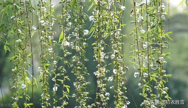 踏春是几月，什么时节踏春（古代的踏青是几月）