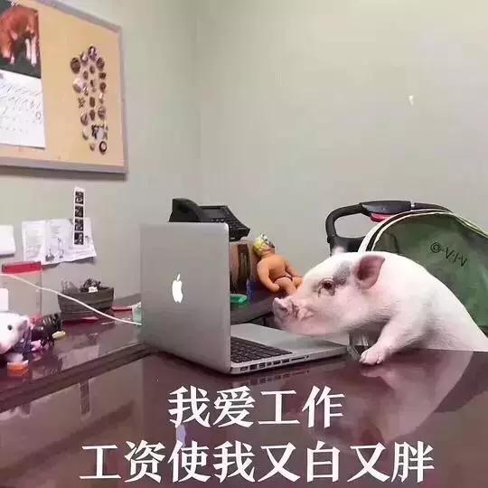 柠檬精是什么意思，柠檬树下柠檬精是什么意思（2019年网络流行语来了）