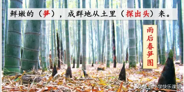 耸的部首（送的部首，小学部编四年级语文下第2课《乡下人家》图文+知识点+同步练习