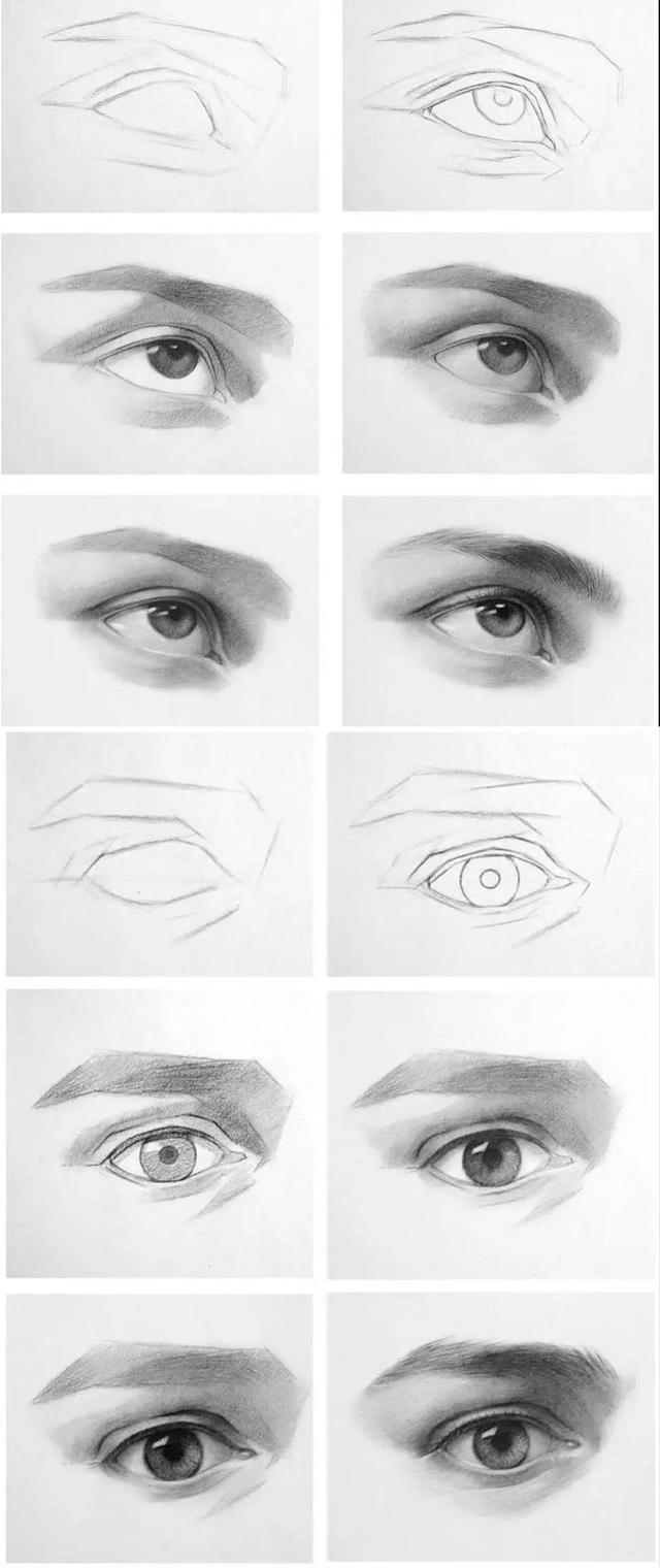 五官有哪些，人的五官准确是哪五官（动漫人物五官的详细画法）