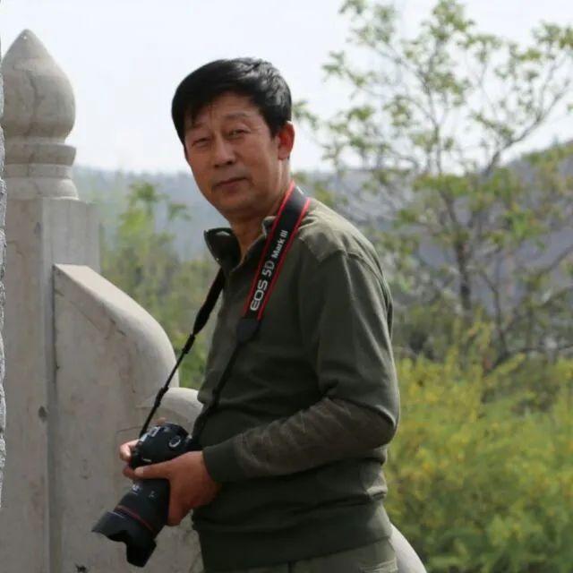 隼是什么鸟，生物演化史上的速度巅峰（隼是什么鸟吃什么食物）