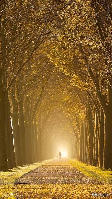 内蒙古人所说的风季是哪个季节，蒙古人的风季是什么季节（中国历史地理常识大全）