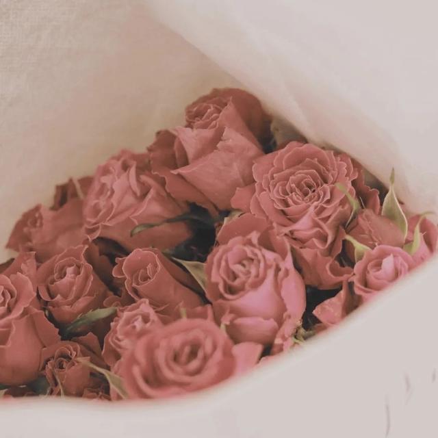 好看唯美背景图，好看唯美的背景图片（个性唯美的背景图+头像套图）