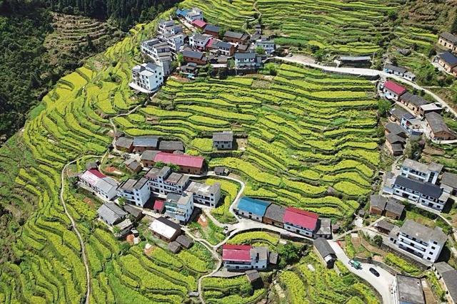 开化县属于哪个市，开化市有哪些镇（18万亩油菜花不逊色于婺源）