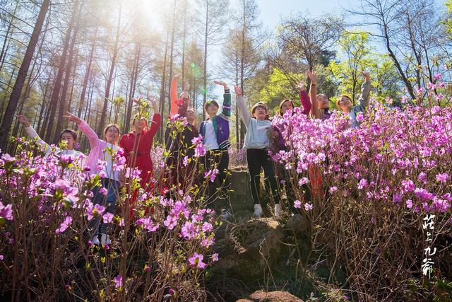 映山红和杜鹃花的区别，映山红和杜鹃花的区别是什么（红杜鹃、映山红、金达莱）