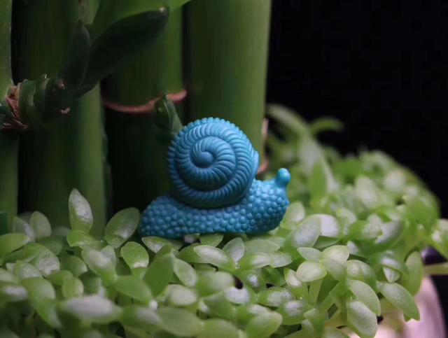 瓷松与绿松石的区别，瓷松和绿松的区别（中国绿松石VS美国绿松石）