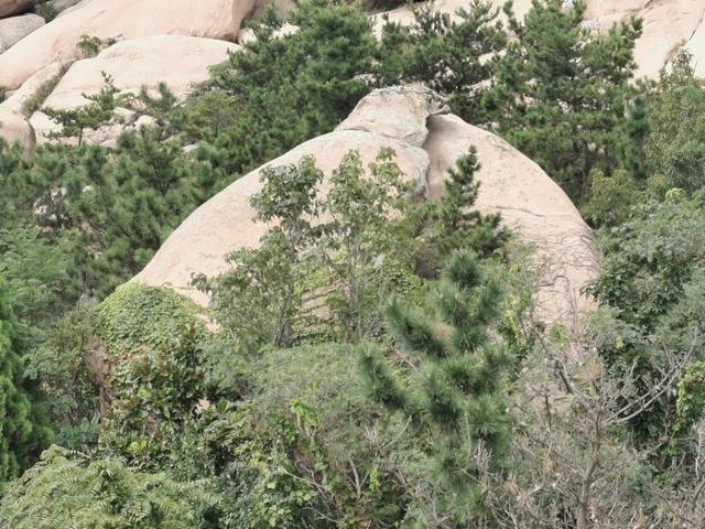 鹤山市属于哪个省哪个地区，鹤山哪里的（北有山东青岛以“石奇”而闻名的鹤山风景区）