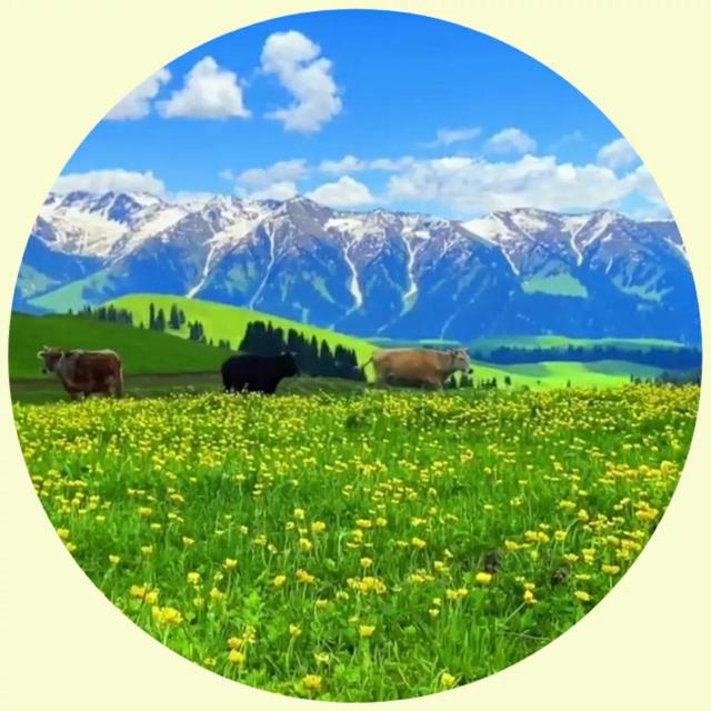 风景照片图片大全，微信头像，风景照片图片大全（令人心旷神怡的美景）