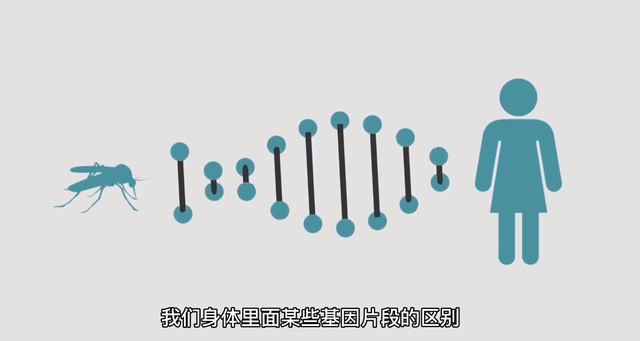 水蚊子咬人吗，打死一只蚊子判几年（西瓜视频给你科普夏天宿敌）