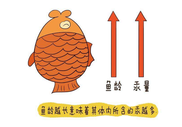 孕妇忌口的食物有哪些，怀孕需要忌口的食物大全（孕期最该忌口的食物）