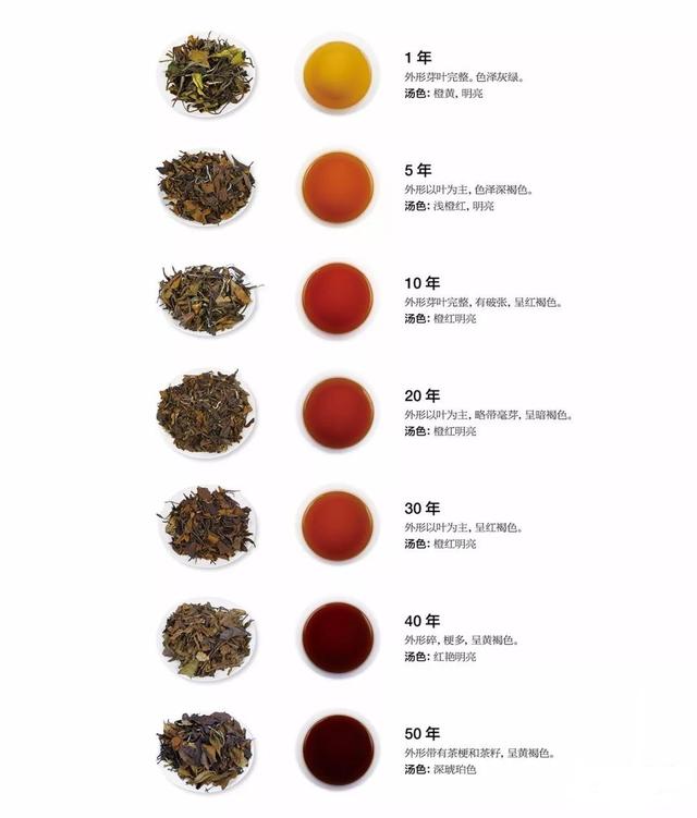白茶的功效与作用，白茶的功效与作用及营养价值（白茶的介绍和功效）