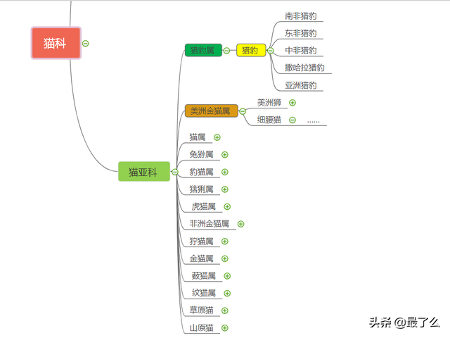 美洲豹和黑美洲狮有什么区别，一篇文章带你读懂大型猫科动物分类