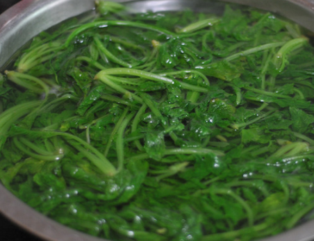 萝卜菜怎么炒，怎样炒萝卜菜（简单一炒就是美味）