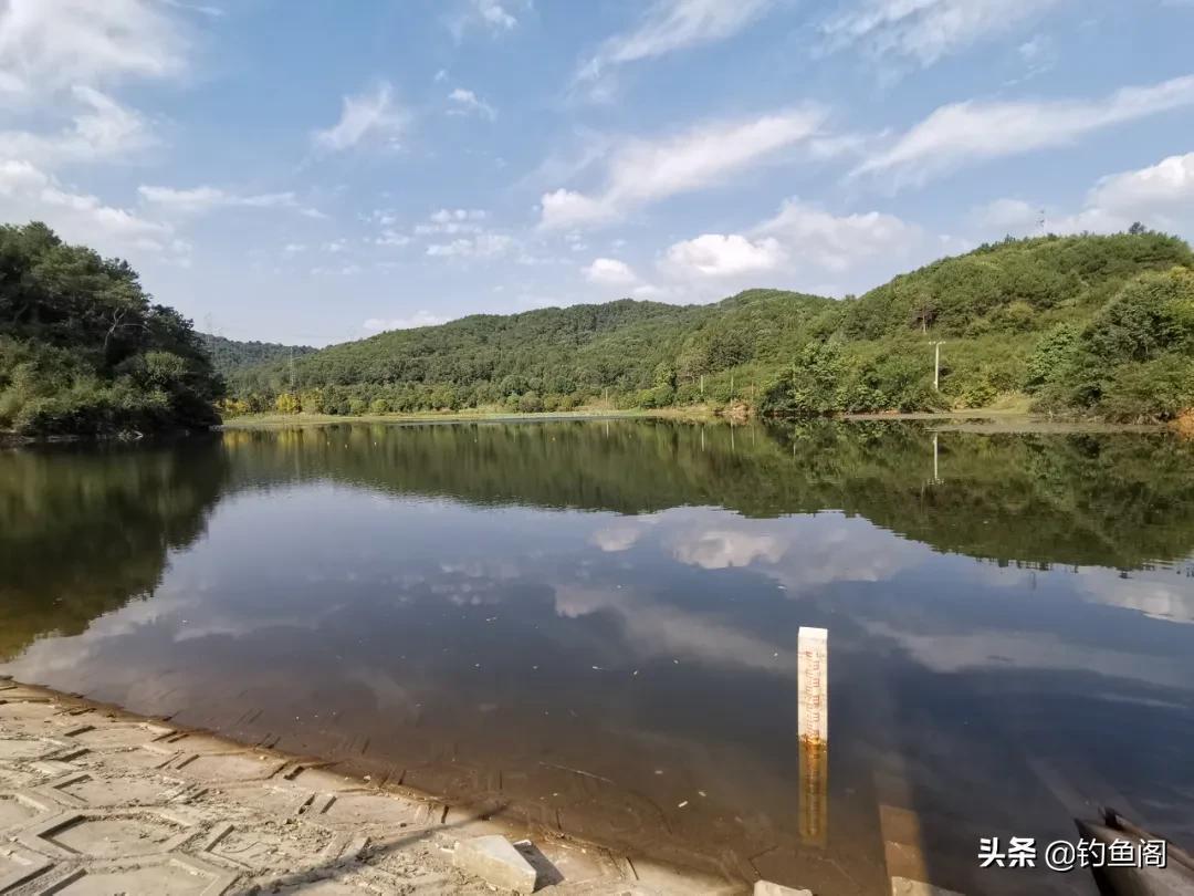 抛竿钓鲢鳙最佳水深选择：1米还是2米更合适？实战经验告诉你最适垂钓深度