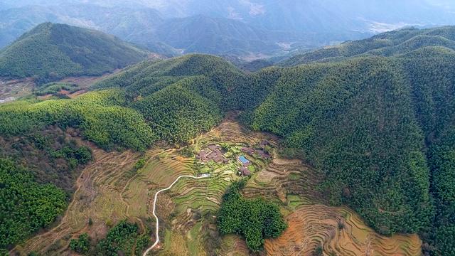 坟茔读音，坟茔读音怎么读（追寻1343座无名红军墓背后的故事）