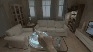 霍金七大预言2025，看了霍金的地球一百年预言好害怕呀!什么才2030年科技就退至1960年的…...（霍金的一个预言成真了）