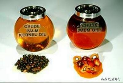 芥花油的优点和缺点，芥花油的功效与作用（棕榈油、红棕榈油、棕榈核油该选谁）
