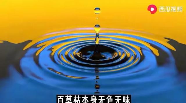 百草枯幸存者自述，服毒自尽的人有多痛苦（西瓜视频带你了解真实感受）