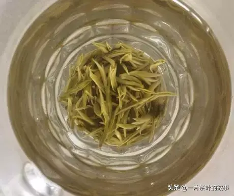 新茶是什么意思，你买的新茶未必胜陈茶