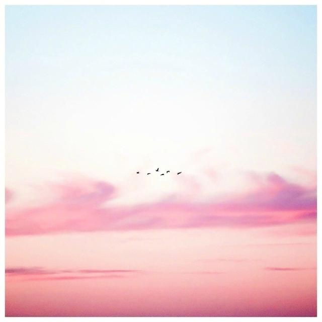 女生用serendipity做网名，serendipity微信昵称（原来网名背后有这样的寓意）