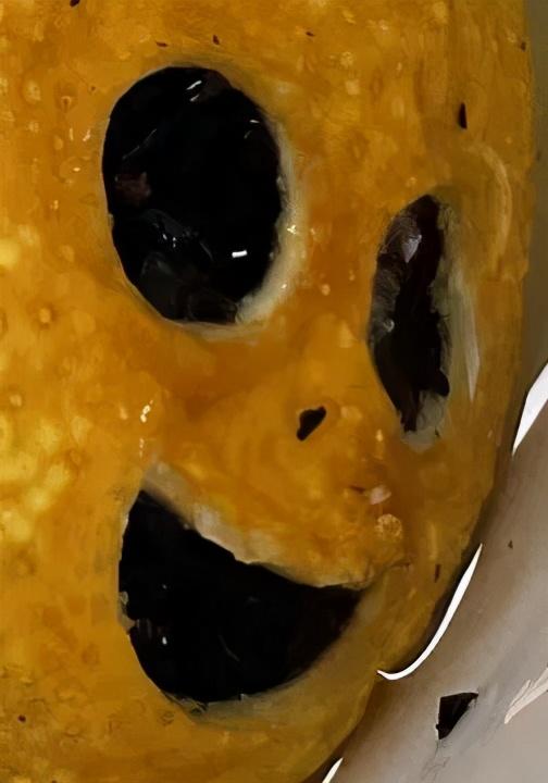 淘宝评价回复(卖家回复好评评语有趣)