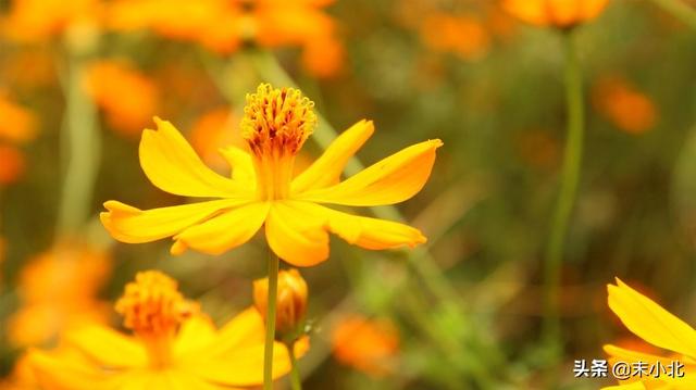 与其锦上添花不如雪中送炭的意思，与其锦上添花不如雪中送炭的意思是什么（有一种“假友谊”叫）