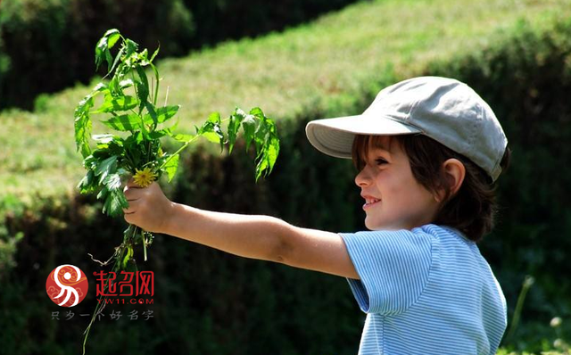 网名字大全霸气的，女生霸气网名（35个雅韵天成、潇洒俊逸的名字）