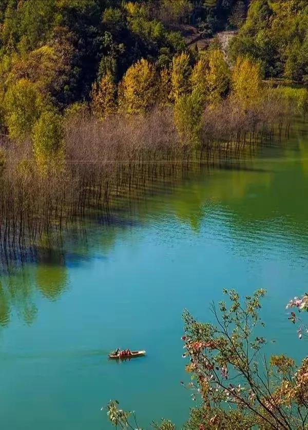 湖水是你的眼神,你的眼神歌词大意(《查干湖》)