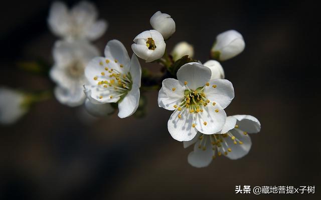 梦见嫂子是什么意思，梦见嫂子