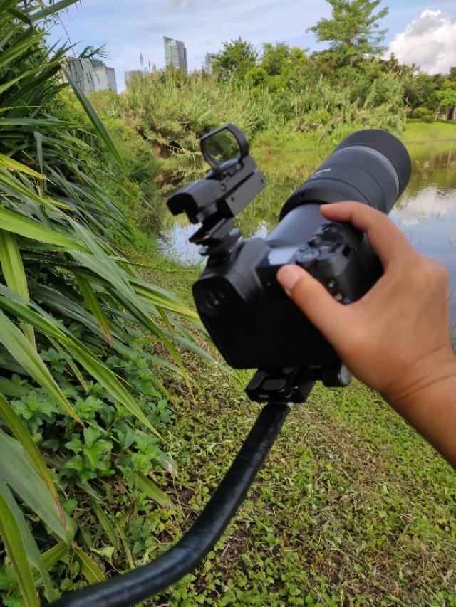 交rf 关于对佳能RF600mmf11便携镜头的看法