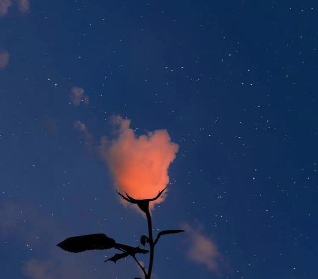 喜欢有个性有脾气女的星座男，哪个星座男喜欢有脾气的女生（三个适合性格强势的恋人的星座男）