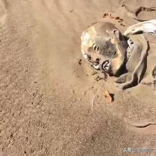 罗布泊未解之谜真实事件，探险家余纯顺徒步穿越罗布泊遇难之谜
