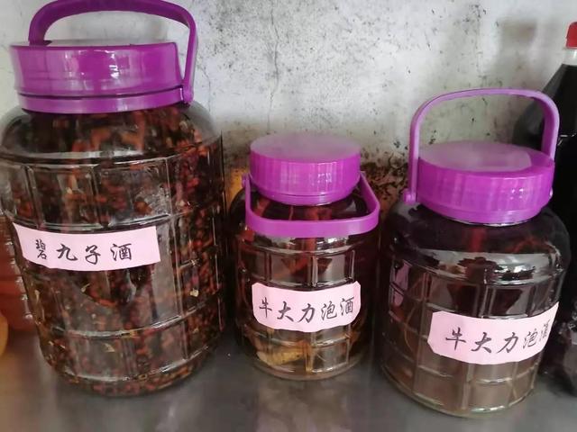 倒吊王功效与作用，九九峰上酒