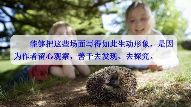 雷雨课文原文，雷雨课文原文（雷雨（二语下第16课《雷雨》课堂实录+笔记+知识梳理+课后练习+答案）