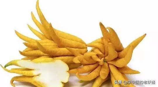 佛手的功效与作用，佛手的功效与作用是什么（每日学习一味中药——佛手）