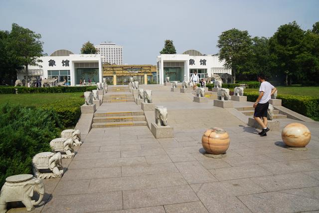 中国最大的动物园，中国动物园排名（中美动物园大PK）