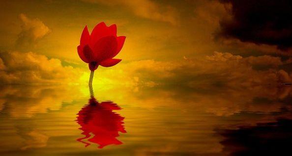 守恒定律什么意思，万物守恒定律什么意思（比风水厉害百倍<深度>）