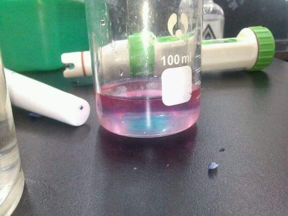 紫色蔬菜图片及名称，紫色的蔬菜是什么样子的（为什么炒紫甘蓝后会变色）