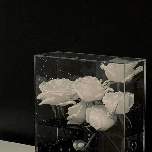 超级好看的唯美图片，超级好看的背景图（一组超好看的朋友圈背景图）