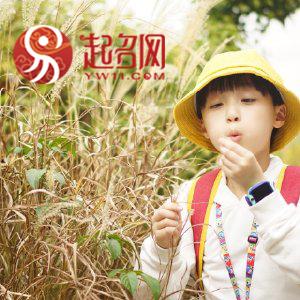 带哲字的男孩名字寓意，带哲字的男孩名字（前程似锦的男孩名字）