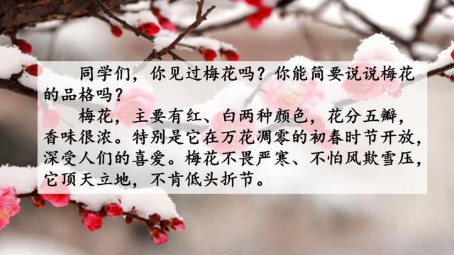梅花魂的意思，部编版五年级下册第4课《梅花魂》图文讲解+知识点梳理