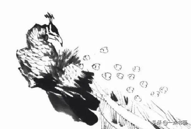 画孔雀的简笔画，如何画孔雀简笔画（国画教程——孔雀画法）