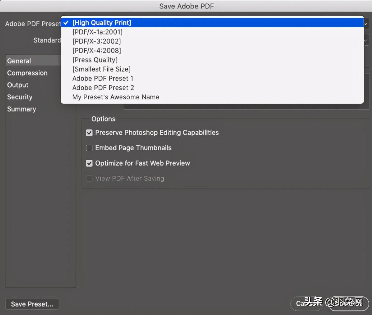 pdf矢量图是什么意思（pdf图片是矢量图吗）