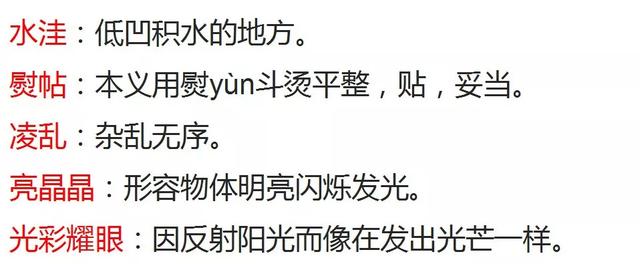 金黄的什么填词语，金黄的什么填空（部编版三年级语文上册第5课《铺满金色巴掌的水泥道》图文讲解）