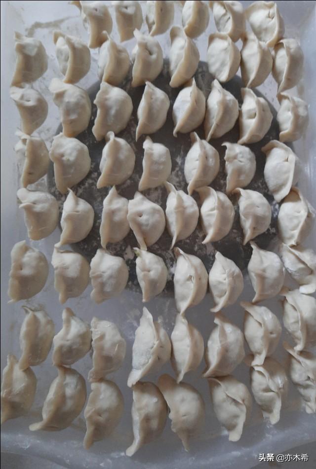 江豆角包饺子馅做法大全怎么做好吃，豇jiang豆馅饺子怎么做（豇豆角木耳鸡蛋素馅饺子）